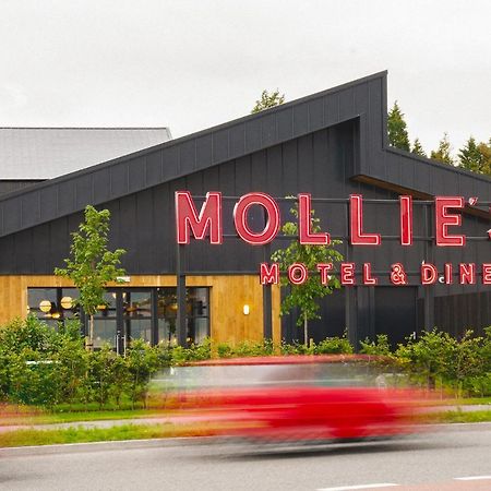 Filton Mollie'S Motel & Diner Bristol מראה חיצוני תמונה