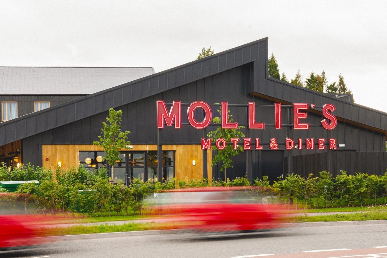 Mollie'S Motel & Diner בריסטול מראה חיצוני תמונה